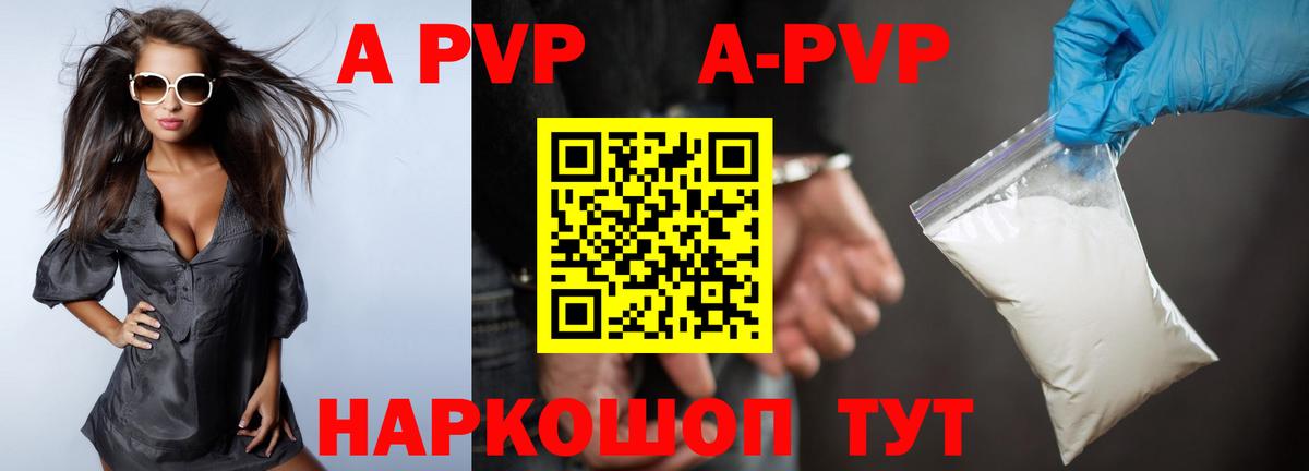 A-PVP СК Шадринск